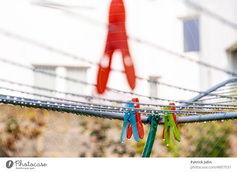 Clothes horse with clothespin in morning dew in backyard Cotheshorse wet clothesline Washing day Laundry Hang up Holder Dry Household Housekeeping Clean