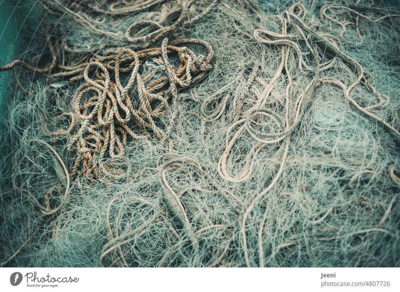 filigree I fishing net Fishing net Fishery Fishing village Net Baltic Sea Catch coast North Sea Ocean Fisherman Network knotted Harbour Seafood Food Nutrition