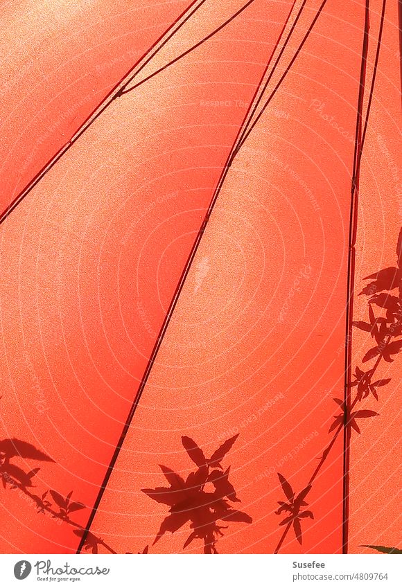 Shadow of leaves on a bright orange parasol Summer Sunshade bush Orange Sunlight Protection Beautiful weather Vacation & Travel Sunbathing Beach Summer vacation