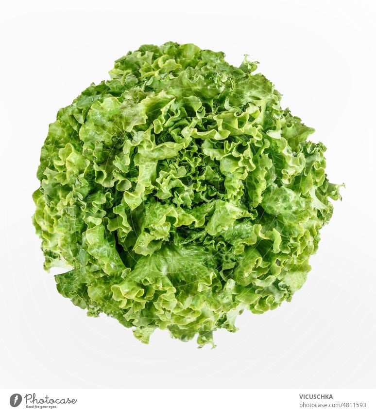 Green lettuce head at white background. green healthy salad ingredient healthy food top view color fresh nutrition raw vegetable vegetarian