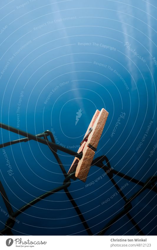 A wooden clothespin on the wire mesh fence and above it blue sky Wire netting fence Sky Perspective Blue Fence Holder illuminated Blue sky frog's perspective