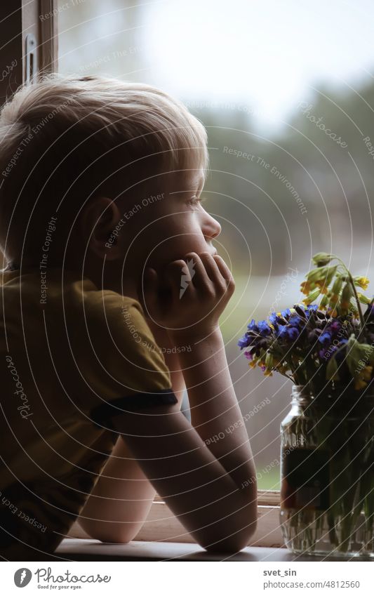 A blond boy sits by the window, leaning on the windowsill. A bouquet of spring flowers stands in a jar on the windowsill. looking springtime portraite