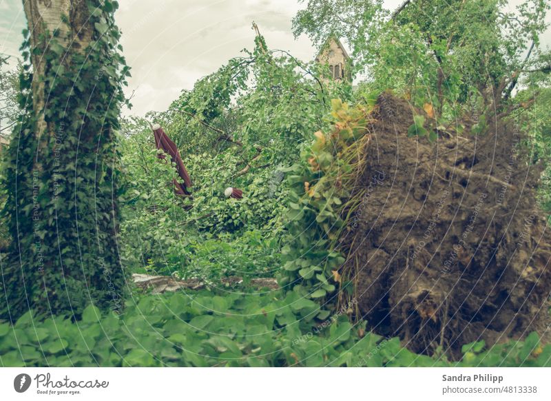 Fallen tree destroys a beer garden Tornado Destruction parasols Broken Climate Storm Gale Environment Climate change Exterior shot Weather Wind Deserted