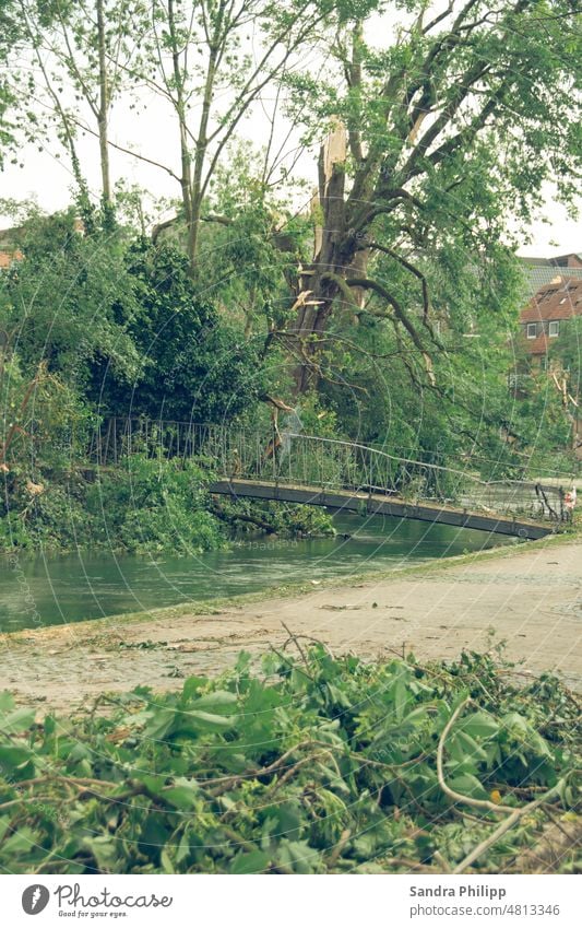 Destruction of a tree and a bridge by a tornado Tornado Climate Climate change Environment Nature Exterior shot Deserted Threat Storm Bad weather Gale Weather