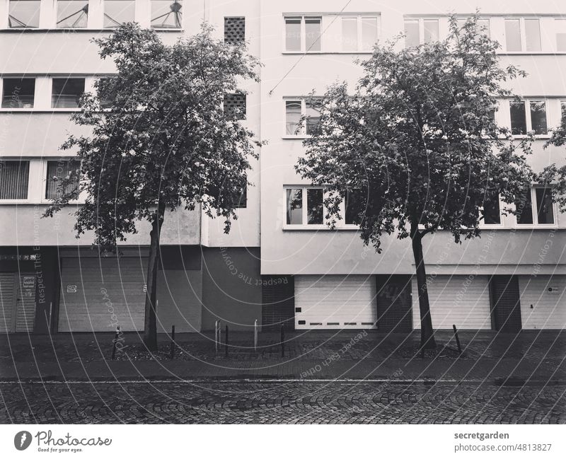 [UrbanNature HB] Urban Greening Tree Street Bremen Building Facade Gloomy Garage door boringly Black & white photo Paving stone city greening