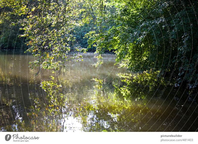 At the pond Nature Landscape Plant Summer Beautiful weather Tree Bushes Pond Deserted Green Calm Discover Idyll Forest lake Colour photo Exterior shot