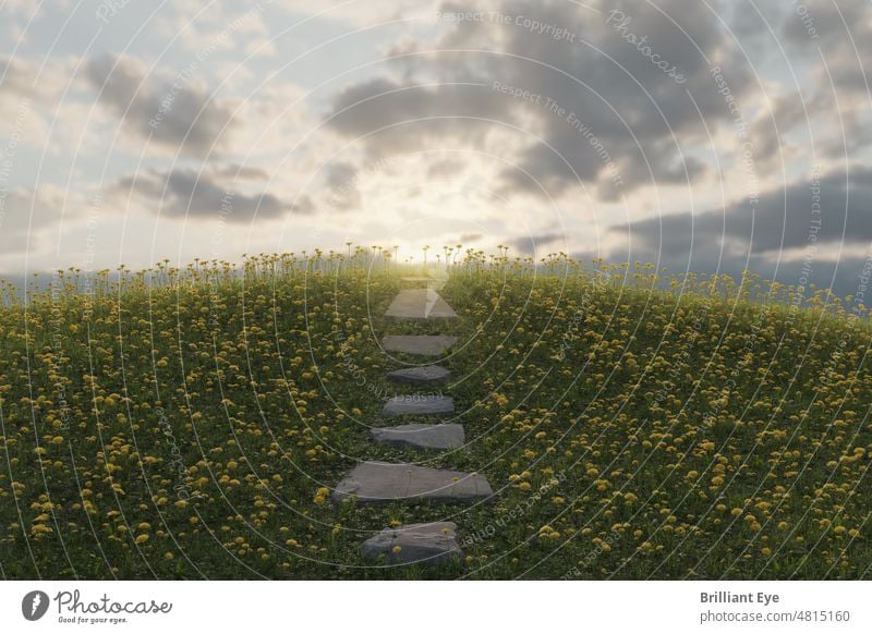 green grass mound with dandelion plants and stone slabs Sun Meadow Landscape Grassland Steps Walking off Outdoors sunny Direction loosen up Park country