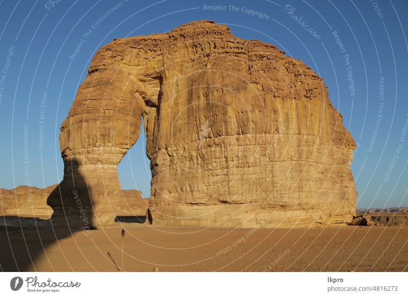 in the kingdom of saudi arabia scenic ruins monument antique geology art carved madain saleh tombs middle east culture nabatean kingdom oasis park petra ksa