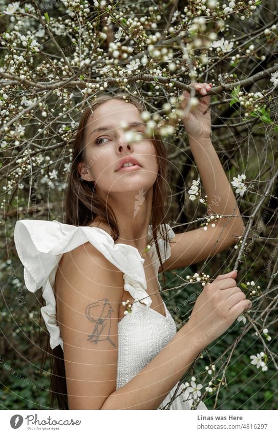 The beauty of spring is here. You can see it in nature, you can see it on the face of this gorgeous brunette girl. With a white dress and a beautiful face, she’s hiding beneath white blossoms.