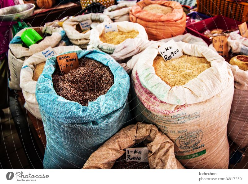 if a bag of rice falls over somewhere Authentic Malaya Borneo Sarawak Vacation & Travel Far-off places Adventure Wanderlust Deserted Asia Exceptional especially