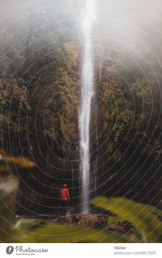 In rainy weather, the majestic and well-known 25fontes waterfall rises in the mist and rain on the island of Madeira, Portugal. Discovering magical places in Europe