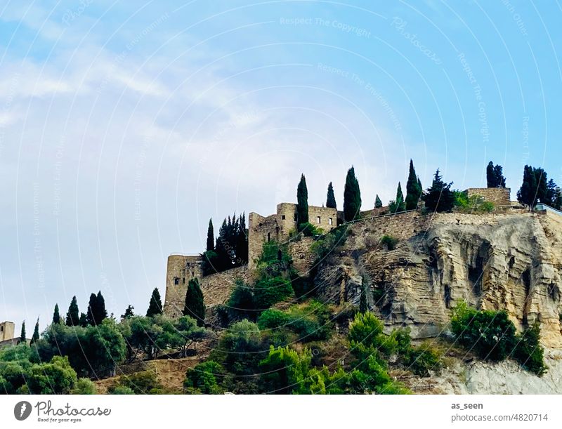 Burg von Cassis castle Southern France Cote d'azur Cypresses Sky Fortress Rock Cote d'Azur Colour photo Exterior shot Vacation & Travel Mediterranean Marseille