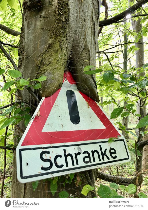 warning sign trees Safety Road sign Weathered Willow tree Lanes & trails street sign Day Beautiful weather Idyll Colour photo Exterior shot Deserted Loneliness