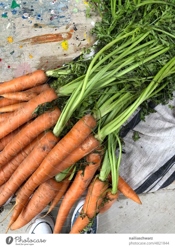 Carrots with green Colour photo Rustic Simple naturally cute To enjoy Pure Still Life Dark gauze cloth Dish towel Rag Lifestyle Kitchen Agriculture