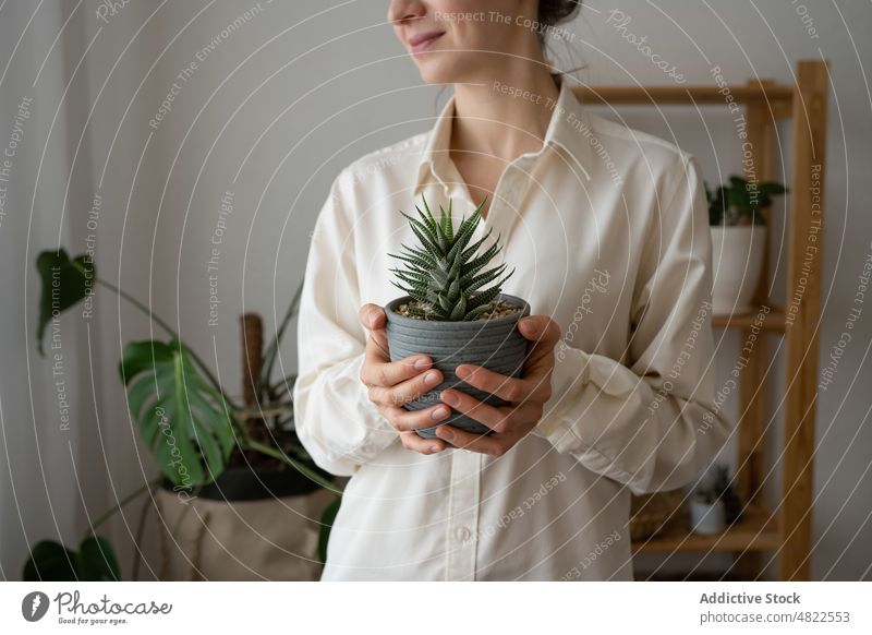 Positive woman smiling and showing potted succulents smile gardener plant happy cultivate positive flora botany glad horticulture home female young white shirt