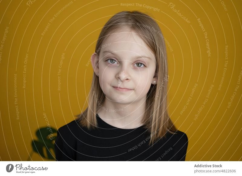 Happy child smiling and looking at camera in yellow studio girl smile positive happy glad portrait model childhood gaze appearance human face kid blond t shirt