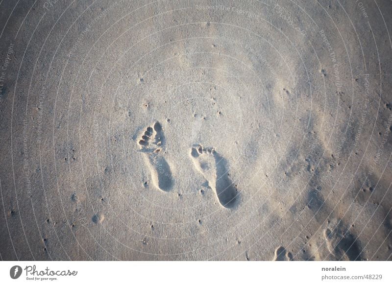 Footprints in the sand Brown Vacation & Travel Spain Beach Toes Future Going Stand Exterior shot Time Life Sand Uneven Feet Lanes & trails Walking forward