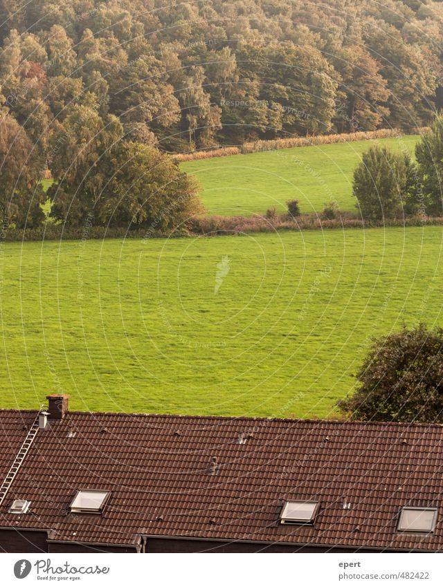 geometry Nature Landscape Plant Garden Meadow Field Forest Border Boundary Fence Brown Green Culture Arrangement Perspective Living or residing Colour photo