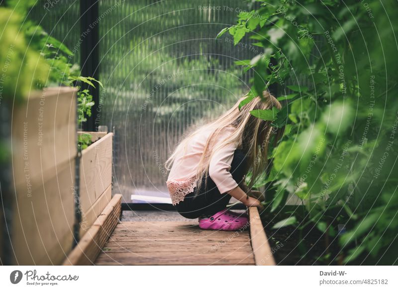 Girl explores nature in a greenhouse Child Nature Discover Greenhouse plants wax self-catering Curiosity curious Vegetable Garden naturally Food