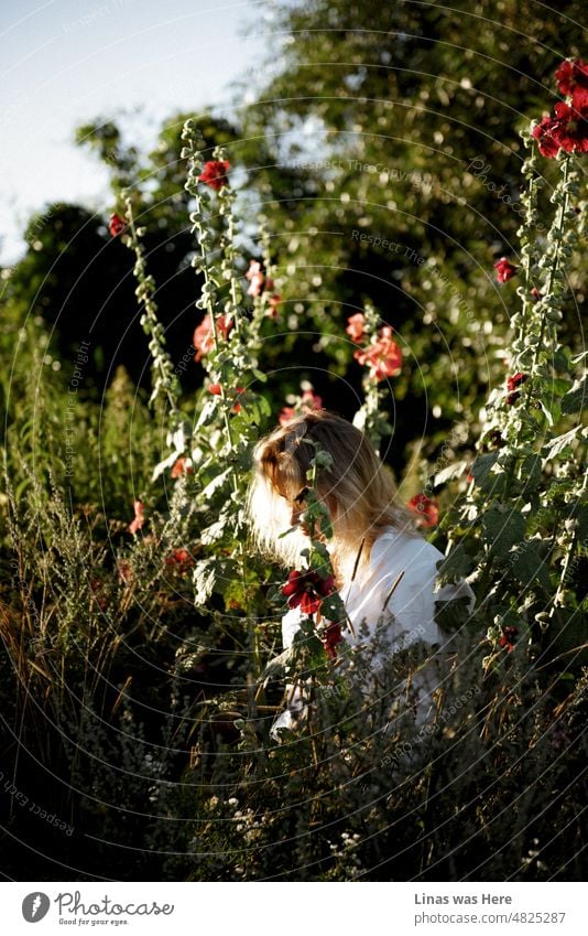 A season of green nature, red flowers, and blonde girls. Summertime brings the best out of every one of us. Wanderlust is about to start. And this gorgeous woman is just enjoying the living.