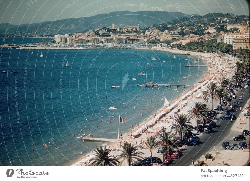 Coastline and Shoreline Buildings in Cannes, France Cote d'Azur Scenic Colorful Exquisite Travel Tourism Beach Southern France Exterior shot Colour photo Summer