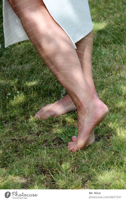 summer feeling Skin Legs Feet Grass Barefoot Meadow Calf Naked flesh Relaxation Contentment Well-being feet naked feet naturally Summer barefoot Nature Healthy