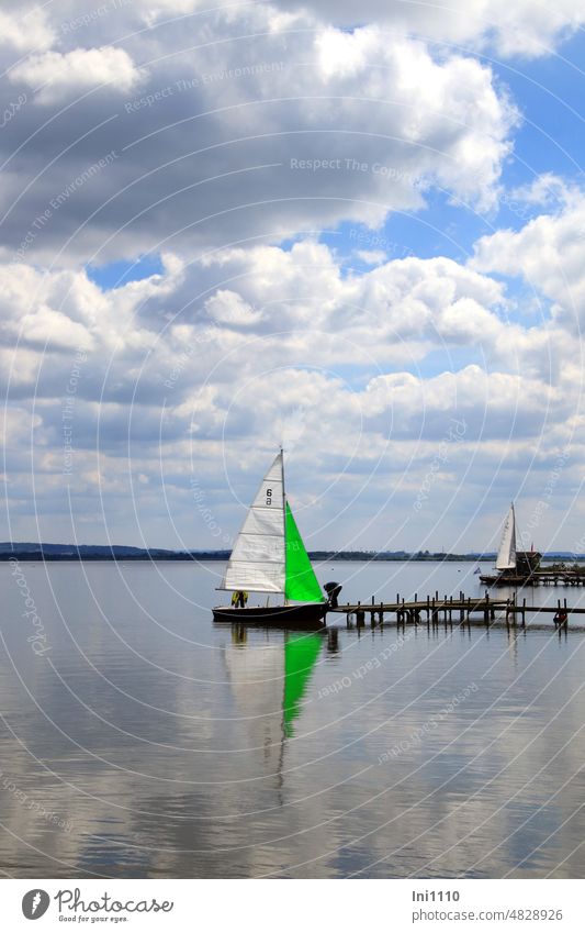 Sailboats on the lake Dümmer nature park Water dump Lake Beautiful weather Clouds Pile clouds cumulus Water reflection sailboats Aquatics Pole White mainsail