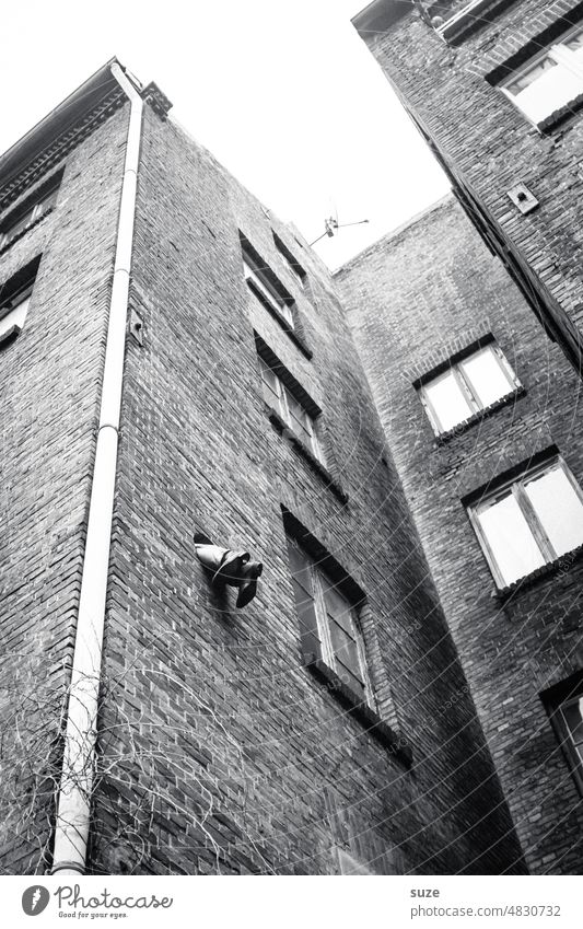 Gray in gray | I have a plan Hamburg Port City Building Architecture Old warehouse district Tourist Attraction Facade Historic Window feet Footwear Emergency