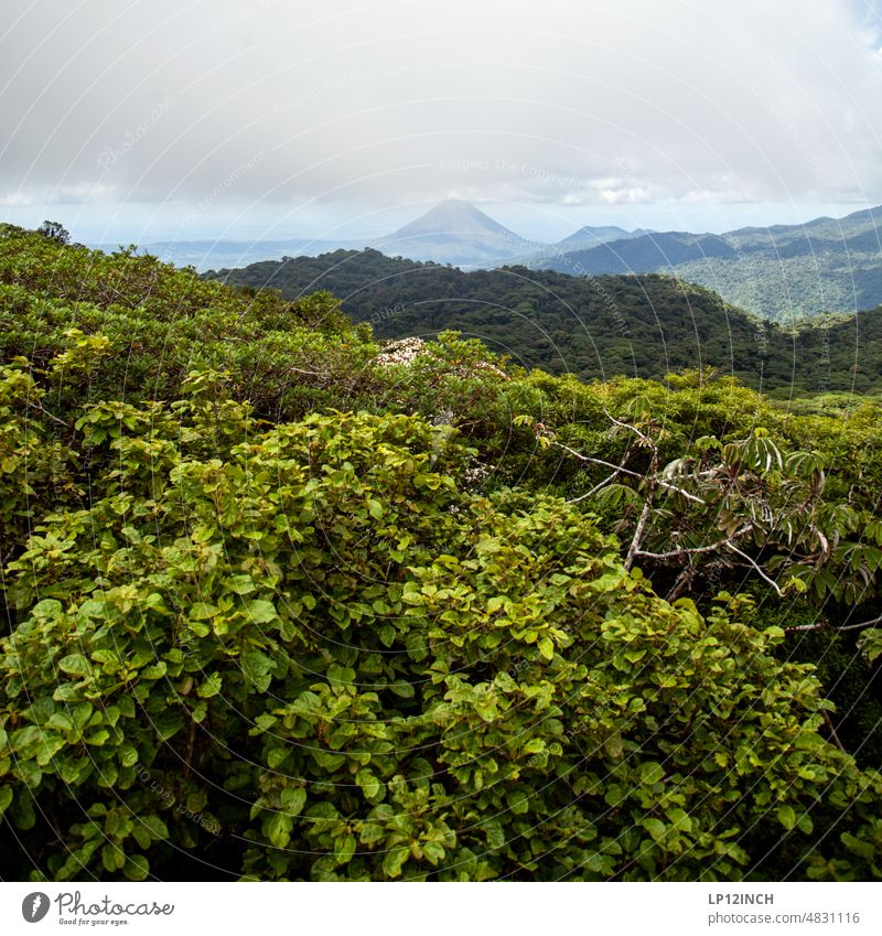 CR III. Cloud forest in Costa Rica with view of Arenal Volcano vacation Tourism Forest nature conservation National Park trees Hiking arena monteverde