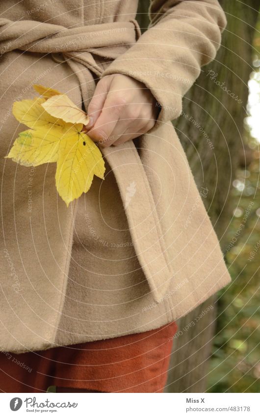 maple Human being Feminine Young woman Youth (Young adults) Hand 1 Autumn Leaf Jacket Coat Yellow Joy Happiness Contentment Joie de vivre (Vitality) Colour