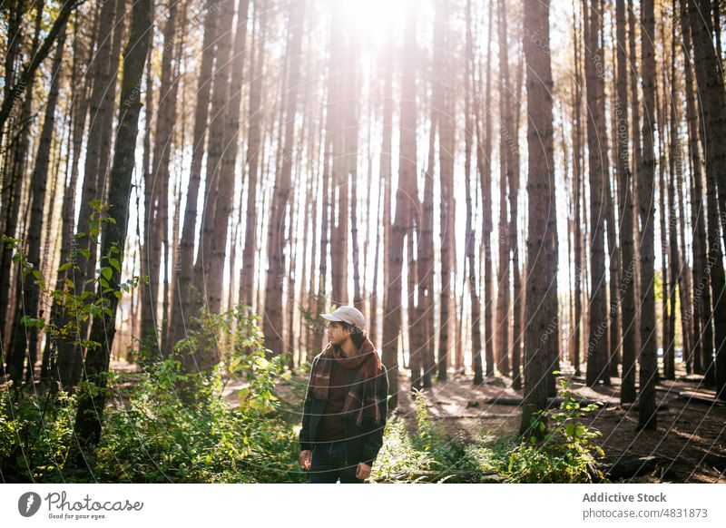 Man standing in autumn forest man weekend tree outerwear positive nature male woodland season fall countryside woods hat optimist foliage explore scarf leaf