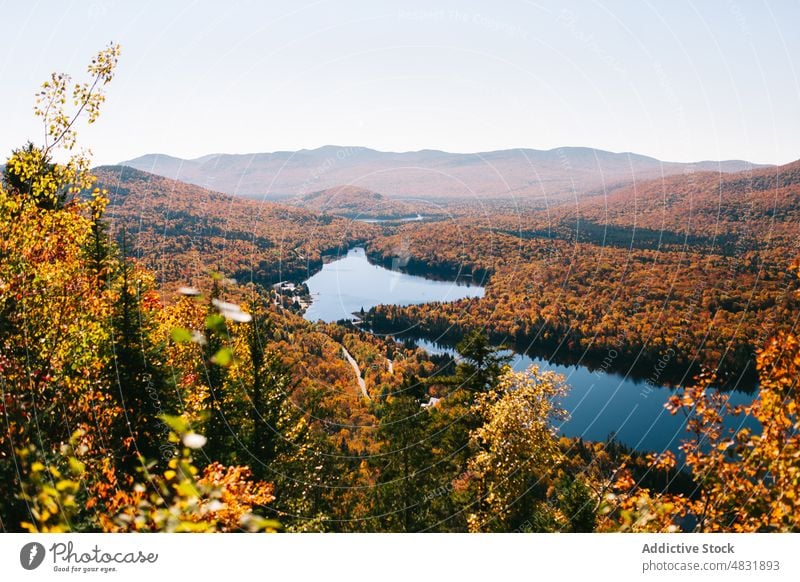 Lake in autumn forest in Canada lake coniferous highland landscape calm water picturesque woods breathtaking pond tree idyllic scenic nature environment hill