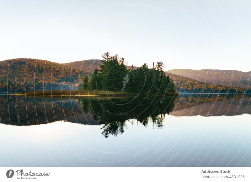 Scenic calm lake surrounded by mountains covered with autumn trees at sunset nature landscape forest coniferous shore scenery reflection scenic foliage canada