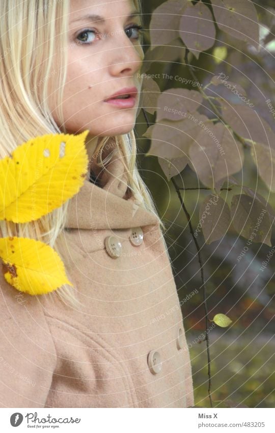 Yellow Green Beautiful Human being Feminine Young woman Youth (Young adults) Face 1 18 - 30 years Adults Autumn Beautiful weather Leaf Park Forest Coat Blonde