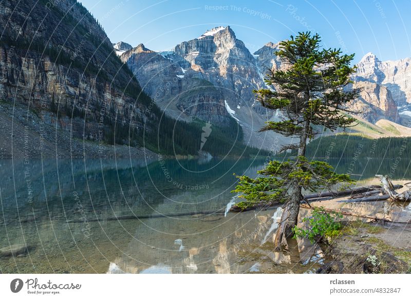 Lake Moraine at the morning banff canada alberta america climbing conifer cream destination drift forest formation glacier hiking holiday ice idyllic lake