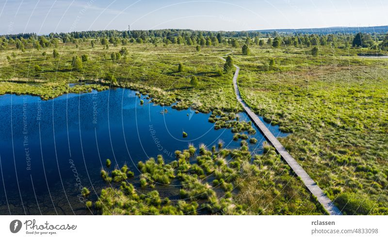 Panorama bug moor landscape as a panorama at the Hohes Venn with lake, trees and a trail venn belgium eifel ardennes area background boardwalk way beautiful