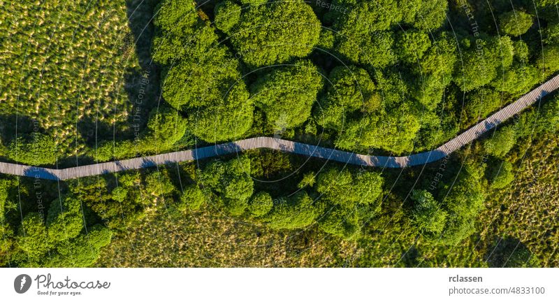 Boardwalk Trail in the Hohes Venn at the Eifel National Park, Drone Shot venn belgium eifel ardennes area background boardwalk way beautiful path bog drone