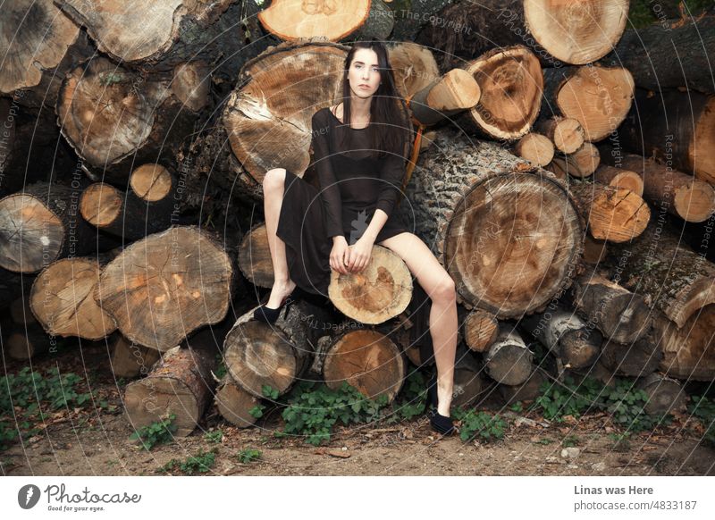 A gorgeous brunette model is posing flawlessly next to some chopped trees. Her see-through black dress, fancy high heels, and pretty face are the main subjects of the photograph though. Eyes contact with a camera and a comfy feeling gives more intimacy.