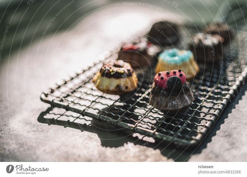 Colorful Cookie variations on a old Cooling Rack cookie cooling rack macaron bakery cake grid background dessert gastronomy metal grate vintage pastel food