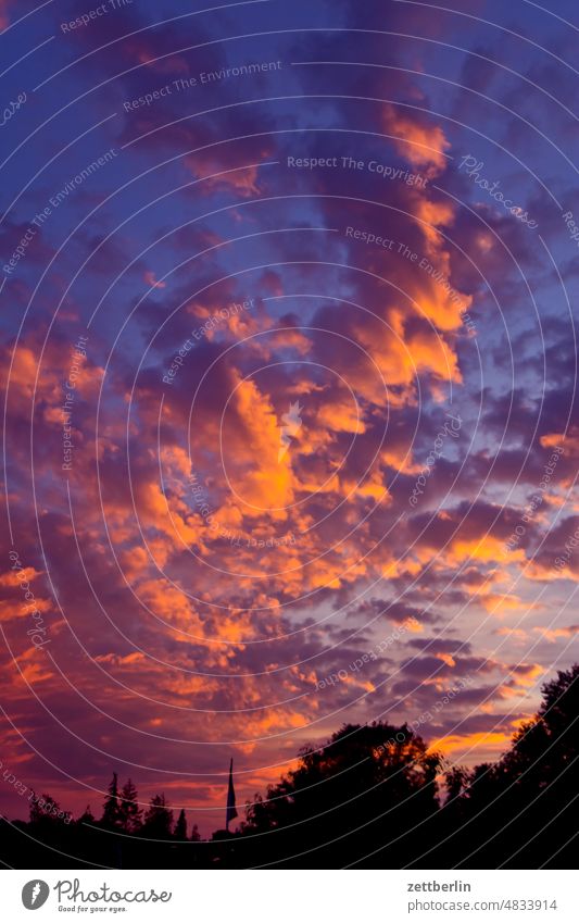 Clouds in the evening sky Evening altocumulus Dark Twilight somber colour spectrum Closing time Worm's-eye view Thunder and lightning cumulus cloud Sky