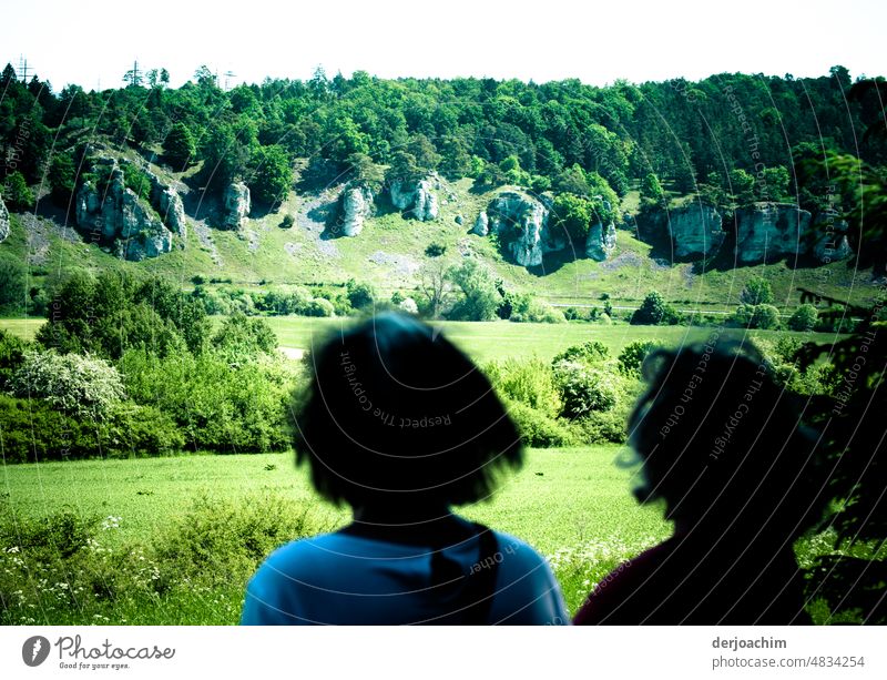 Two women with their backs to the viewer, looking towards the rock formations, 12 apostles. Rock Far-off places Stone Sky Exterior shot Colour photo Nature