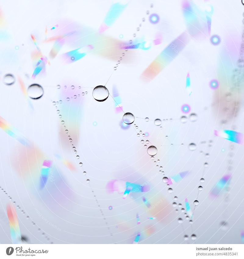 drops on the spider web in rainy season net spiderweb nature raindrop droplet bright shiny outdoors abstract textured background water wet minimal fragility