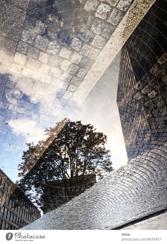 UrbanNature HB | Spiegelcity II Puddle reflection Tree High-rise Cobblestones urban Sky Water Wet Damp Clouds Boundary off evening light Experimental