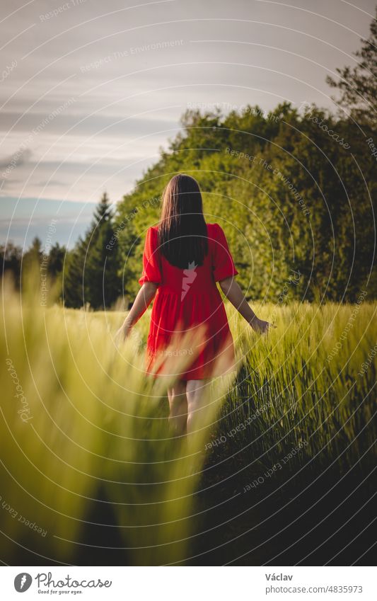 Breathtaking candid portrait of a brunette aged 20-24 in a loose red dress in a cornfield, smiling naturally. Fashion vintage style. Natural beauty of a brown haired European woman