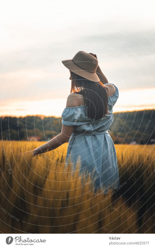 Breathtaking candid portrait of a brunette aged 20-24 walks in a beautiful blue dress and hat in a cornfield, smiling naturally. Fashion vintage style. Natural beauty of a brown haired European woman