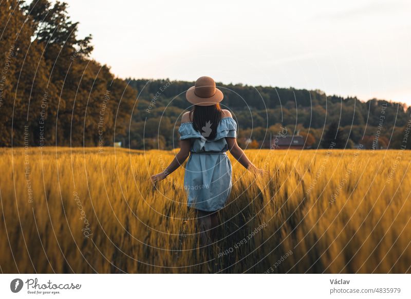 Breathtaking candid portrait of a brunette aged 20-24 walks in a beautiful blue dress and hat in a cornfield, smiling naturally. Fashion vintage style. Natural beauty of a brown haired European woman