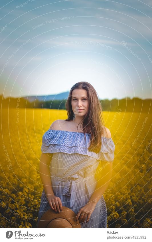 Breathtaking candid portrait of a young brunette in a beautiful summer blue dress at sunset in a rape field. The brown-haired model is smiling naturally. Fashion style