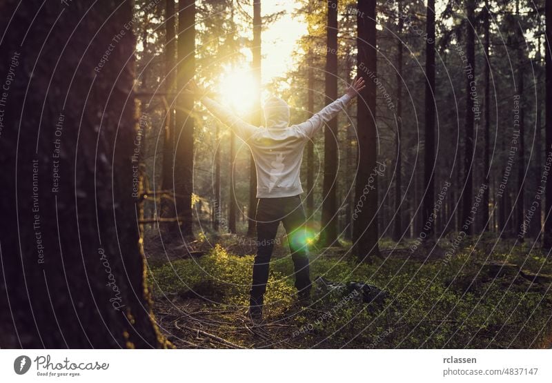 Man praying at sunset in the deep woods raised hands forest nature landscape spring sunlight tree summer needlewood idyllic environment trunk sunshine europe