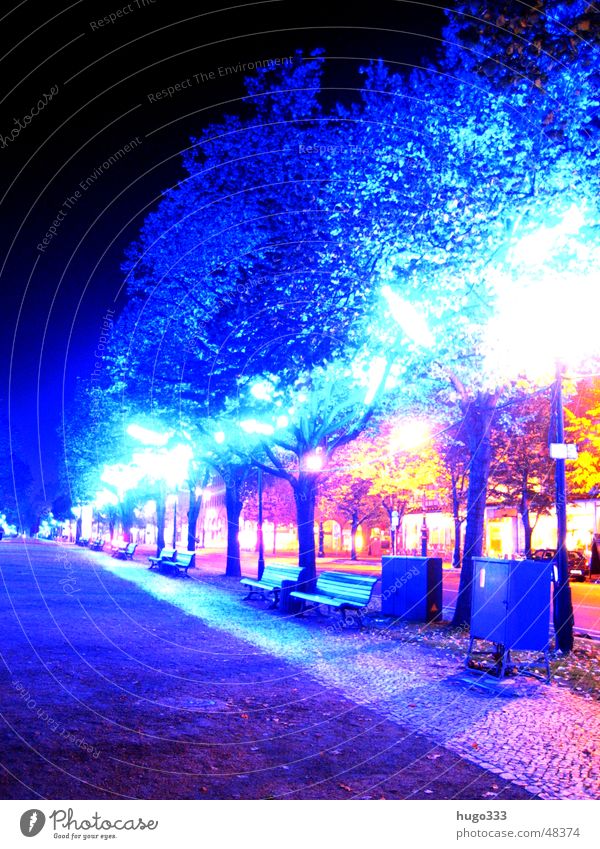 Blue trees Unter den Linden Glow Tree Lighting Leaf Neon light Bench Red Eerie Berlin festival of lights Street glowing gloomy Spooky