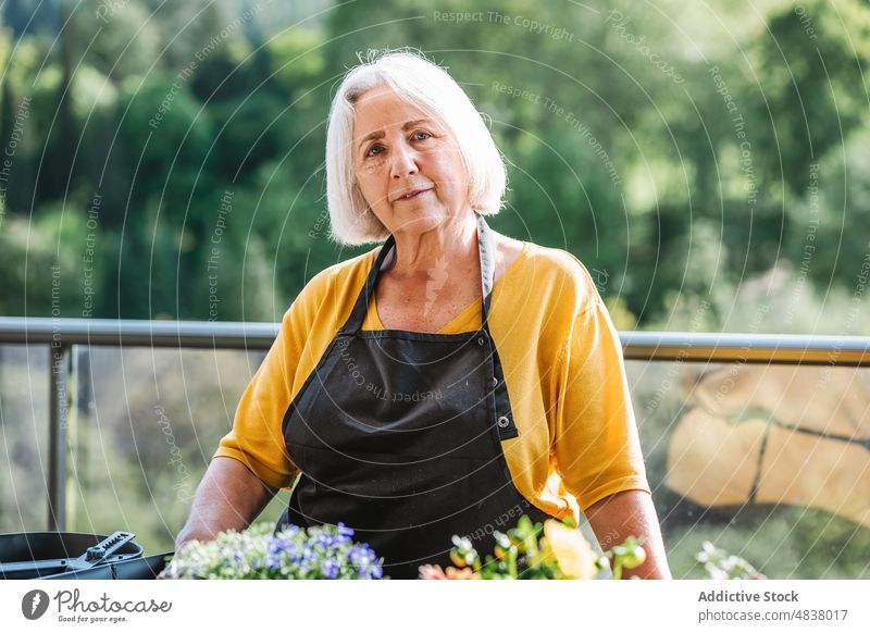 Portrait of senior woman at her garden portrait flower elderly plant bloom floral female blossom work smile gardener care fresh florist cheerful cultivate